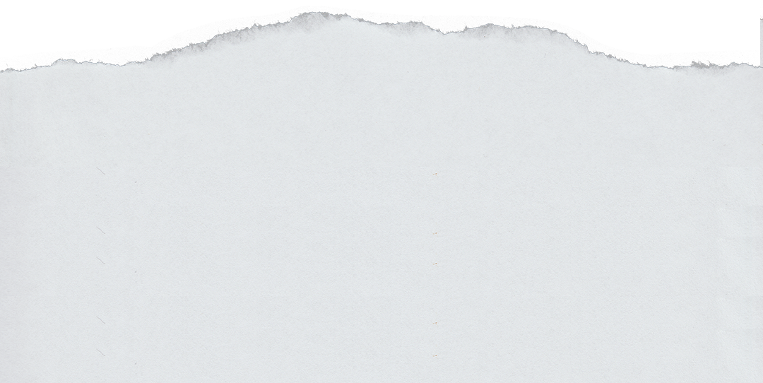 Ripped Paper Line Texture