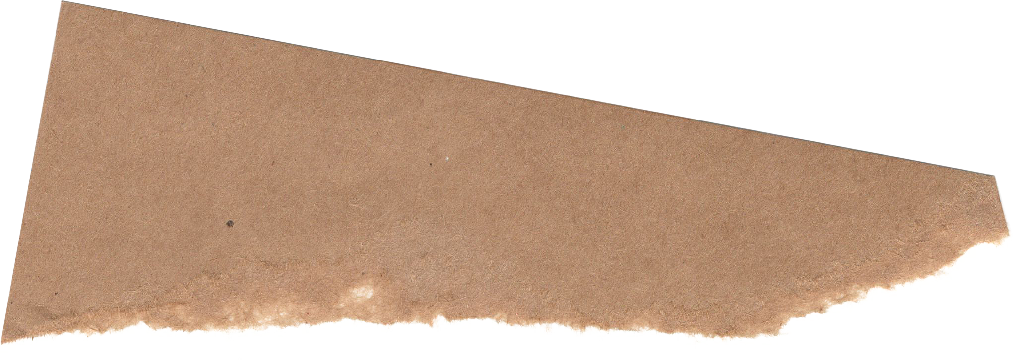 Ripped Paper